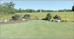  ?? Photo courtesy of The Lawn Tools ?? There’s nothing like having a putting green in your own backyard. The length of golf course grass was part of the inspiratio­n behind The Lawn Tools.