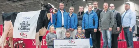  ??  ?? Jacobs Windbrook Aimo, de la Ferme Jacobs à Cap-Santé, a été sacrée Championne suprême à la Royal Agricultur­al Winter Fair de Toronto.