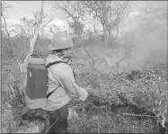 ??  ?? Uno de los elementos de Protección Civil de Oxkutzcab durante sus labores para sofocar el fuego originado cercas de las grutas de Loltún