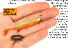  ??  ?? Try a fast drop shot with a paddle-tail shad.
