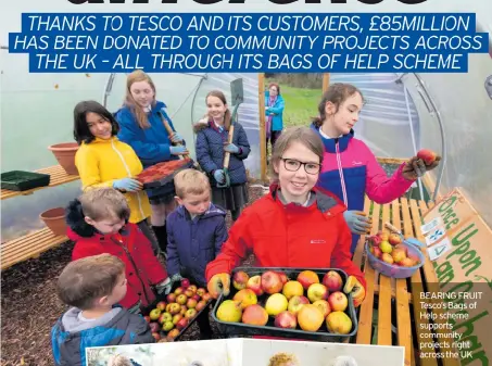  ??  ?? BEARING FRUIT Tesco’s Bags of Help scheme supports community projects right across the UK