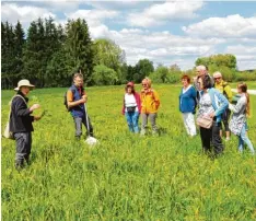  ?? Foto: Bader ?? Bei einer Exkursion durch das Obenhausen­er Ried lenkten Botanikeri­n Anja Ullmann und Biologe Ralph Schreiber den Blick auf seltene Pflanzen und Tiere.