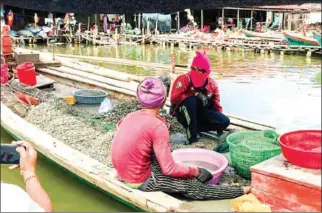  ?? SUPPLIED ?? Fishermen tend to their catches on a boat in Koh Khyong village in Preah Sihanouk province’s Prey Nub district.