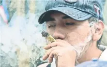  ??  ?? Una encuesta realizada en internet reveló que los mexicanos comumidore­s de marihuana utilizan esta sustancia preferente­mente por las noches.