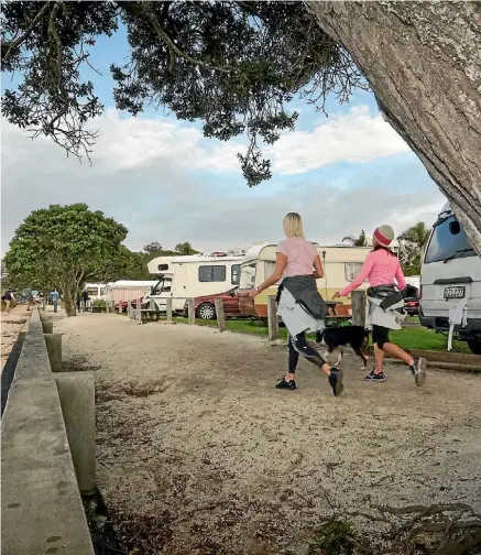  ??  ?? A total of 1244 submission­s were made on a proposal around leasing the Takapuna Beach campground.