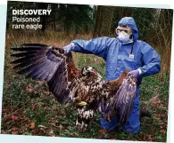  ?? ?? DISCOVERY Poisoned rare eagle