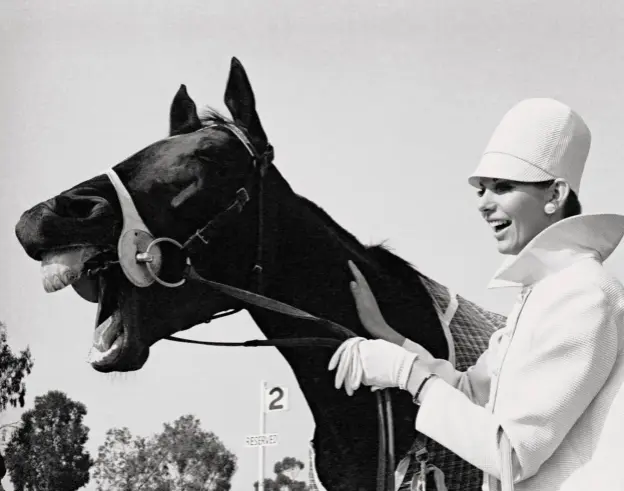  ??  ?? Caroline Bell e o cavalo Big Philou na corrida Melbourne Cup, na Austrália, 1969.