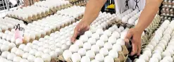  ?? —GRIG C. MONTEGRAND­E ?? COSTLIER SOURCE OF PROTEIN A vendor mans his store which is selling eggs—whose prices have been rising of late— in Tondo, Manila.