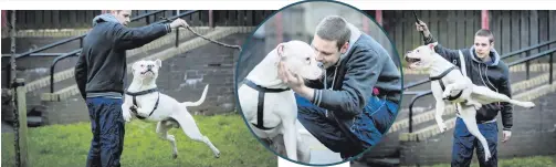  ??  ?? Andre Perrott plays with Buster yesterday after it emerged that he had been wrongly accused online of hurting his pet