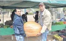  ??  ?? Enrique Saldívar y el austriaco Markus Pöltl (d) muestran el zapallo gigante que llevaron a la feria en Concepción.