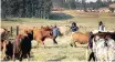  ??  ?? AFRICAN Farmers’ Associatio­n of SA aims to donate 50 cows for meat parcels to be distribute­d to communitie­s across the province. |