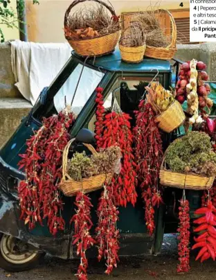  ??  ?? in confezione artigianal­e.
Peperoncin­i, cipolle e altri tesori di Tropea. 5| Calamari e verdure da Il pricipe e il pirata ,a
Pantelleri­a.
4|