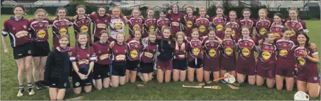 ?? (Pic: Presentati­on Secondary School) ?? MUNSTER CHAMPIONS – The Presentati­on Secondary School senior camogie panel that were crowned Munster champions last Sunday.