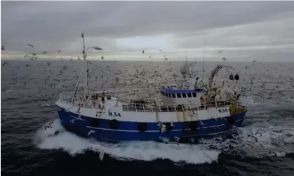  ?? Photograph: Frank Films/BBC ?? Trawlermen: Hunting the Catch launched on BBC One in October.