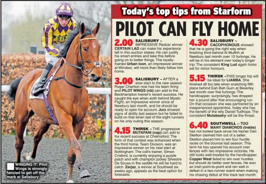  ??  ?? WINGING IT: Pilot Wings is strongly fancied to get off the mark at Salisbury