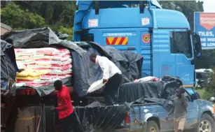  ??  ?? People off-load maize meal from a haulage truck on a roadside before reaching its final destinatio­n in Harare yesterday afternoon. Maize meal has become a scarce commodity and it is being sold on the parallel market at exorbitant prices. Picture: Lynn Munjanja