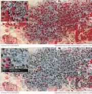  ?? EPA ?? A combo handout satellite image by DigitalGlo­be and made available by Amnesty Internatio­nal shows, top, the village of Doro Baga in northeaste­rn Nigeria taken on Jan 2 with densely packed structures and tree cover (in red). The image at the bottom...