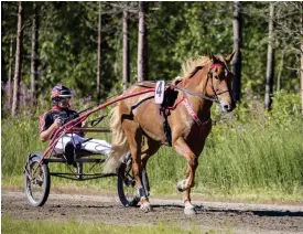  ?? FOtO: LEHtIKUVA/KAISA SIREN ?? Matti Nisonen och Saaga S.