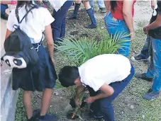  ??  ?? SIEMBRA. Los escolares de tres centros educativos públicos comenzaron en las actividade­s de la campaña.