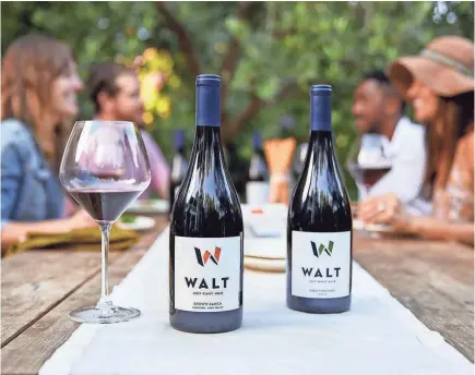  ?? WALT WINES ?? This is the place to take a deep dive on the range and expressive­ness of pinot noir with the Walt Root 101 Tasting. In this experience, guests explore the influence of terroir by tasting six pinot noir wines from six vineyards.