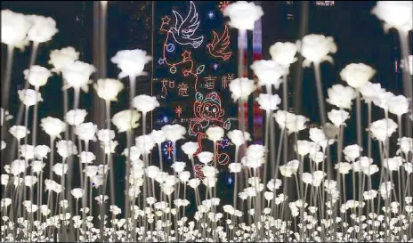  ??  ?? LED light roses are lit up at the Light Rose Garden, against the backdrop of Central, the business district of Hong Kong on Saturday.