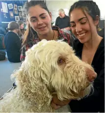  ?? PHOTO: FAIRFAX NZ ?? Kapiti College year 12 students, from left, Samantha Swift and Nadia Moore with Honey the dog.