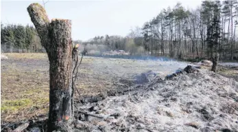  ?? FOTO: HARALD RUPPERT ?? Ein Teil der geschredde­rten Bäume wurde an Ort und Stelle verbrannt.