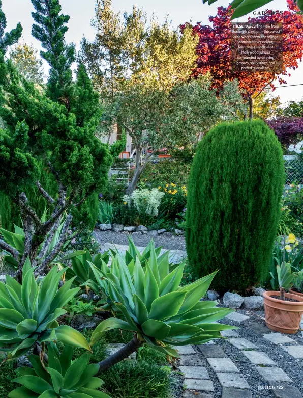  ??  ?? THESE PAGES The view from the tennis pavilion – the paved area where form and foliage dominate over colour, featuring a windswept Hollywood juniper surrounded by swaying grasses, spiky aloes, and potted succulents.