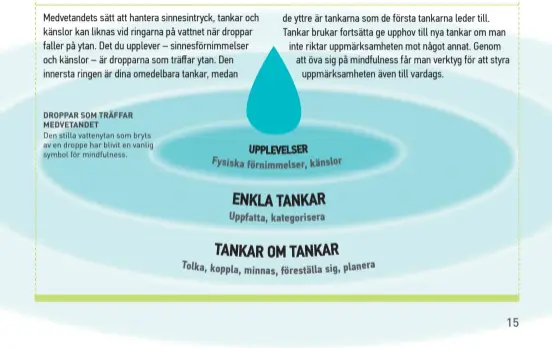  ??  ?? UPPLEVELSE­R Fysiska förnimmels­er, känslor ENKLA TANKAR Uppfatta, kategorise­ra TANKAR OM TANKAR Tolka, koppla, minnas, föreställa sig, planera