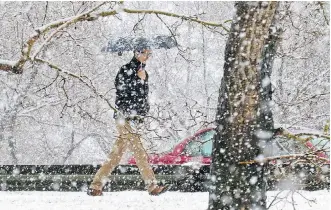  ?? GAVIN YOUNG ?? Calgarians woke up to big flakes of snow as a spring storm hit on Thursday. The weather is making things difficult for some farmers who are already behind on seeding.