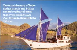  ??  ?? Enjoy an itinerary of Indonesian islands and Pilates aboard replicas of cargo trade vessels like OceanPure through Align Holistic Fitness.