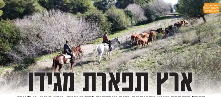  ?? צילום: חוות דובי ?? טיולי סוסים ברמות מנשה