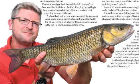  ??  ?? BELOW: This stunning 4lb- plus chub is one of many that have made the Collingham stretch home