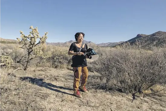  ?? Brian van der Brug Los Angeles Times ?? NATIVE BEES are an obsession of photograph­er and community scientist Krystle Hickman, top. She doesn’t have a college degree, but she can now identify most bees at a glance and is at work on a photo book all about the elusive creatures.