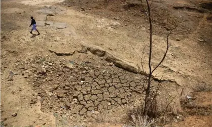  ?? Photograph: Sanjay Kanojia/AFP via Getty Images ?? An Indian farmer walks across the bed of a pond that has dried out during a water crisis.