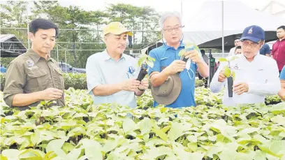  ?? ?? TINJAU: Hajiji (dua kiri) meninjau suasana Sapulut Plantation Nursery ketika dalam lawatan kerja berkenaan.