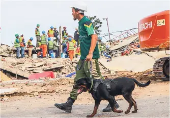  ?? Photo: Deidre Cloete ?? Sniffer dogs were used in the rescue efforts.
