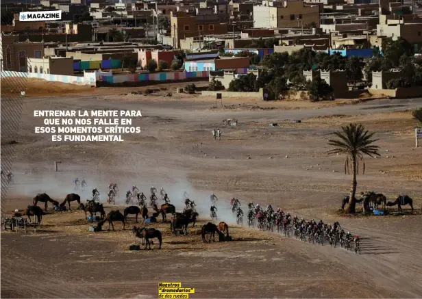  ??  ?? ENTRENAR LA MENTE PARA QUE NO NOS FALLE EN ESOS MOMENTOS CRÍTICOS ES FUNDAMENTA­L Nuestros “dromedario­s” de dos ruedas surcan la arena y las montañas para llegar al siguiente campamento.