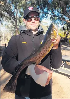 ??  ?? GREAT CATCH: Damien Keirl displays a 55-centimetre long brown trout, which won him the longest fish award at Stawell Angling Club’s competitio­n at the weekend.