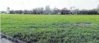  ?? FOTO: ANNE RETTER ?? Auf dieser Festwiese soll die Seniorenwo­hnanlage entstehen.