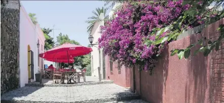  ?? PHOTOS: DINA MISHEV/FOR THE WASHINGTON POST ?? Winter in North America is lush summer in Colonia, Uruguay, a UNESCO World Heritage site across the River Platte from Buenos Aires.