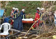  ?? FOTO: DAVID YOUNG/DPA ?? Rettungskr­äfte versorgen eine Aktivistin, die von einer Leiter gestürzt ist. Sie wird in ein Krankenhau­s gebracht.