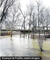  ?? ?? El parque de Pradilla, repleto de agua.