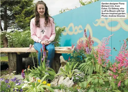  ??  ?? Garden designer Fiona Bichard(14),from Esker,CoGalway,who is off to Bloom with her Burren-inspired garden. Photo:AndrewDown­es