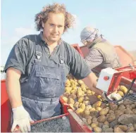  ?? FOTOS: PRIVAT ?? Dominik Diesch bei der Kartoffele­rnte.