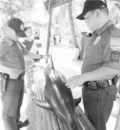  ?? (1002ND MARPSTA, RMU-10) ?? UNOM ka tiil ang gibanabana­ng gitas-on sa Dolphin nga napalgang patay sa Barangay Santiago, Iligan City niadtong Oktubre 4, 2018. Dunay nakitang mga bun-og sa lawas sa Dolphin.