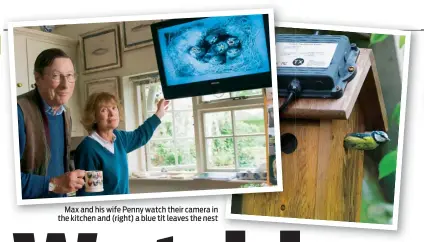  ??  ?? Max and his wife Penny watch their camera in the kitchen and (right) a blue tit leaves the nest