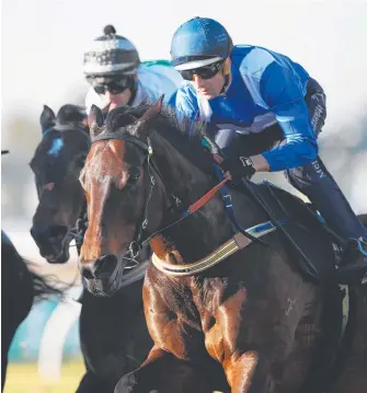  ?? Picture: PHIL HILLYARD ?? Winx, ridden by Hugh Bowman, trials yesterday at Rosehill Gardens.