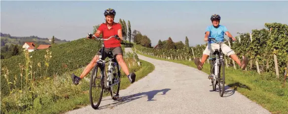  ??  ?? Es macht sichtlich Spaß, unterwegs auf der 400 Kilometer langen „Weinland Steiermark Radtour“zu sein.