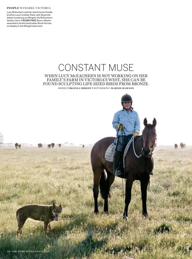  ??  ?? PEOPLE WINGEEL VICTORIA Lucy Mceachern and her stock horse Fenella, bred by Lucy’s mother Kate, with Rosie the kelpie mustering on Wingiel, the Mceachern family’s farm. FACING PAGE Show ribbons awarded to Ardno Australian Stock Horses on display in the Wingiel tackroom.